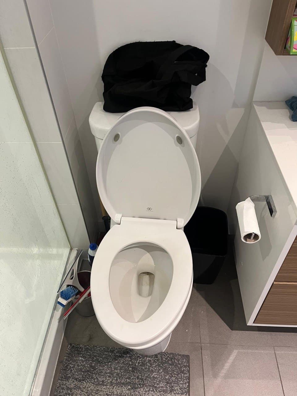 Toilet cleaning